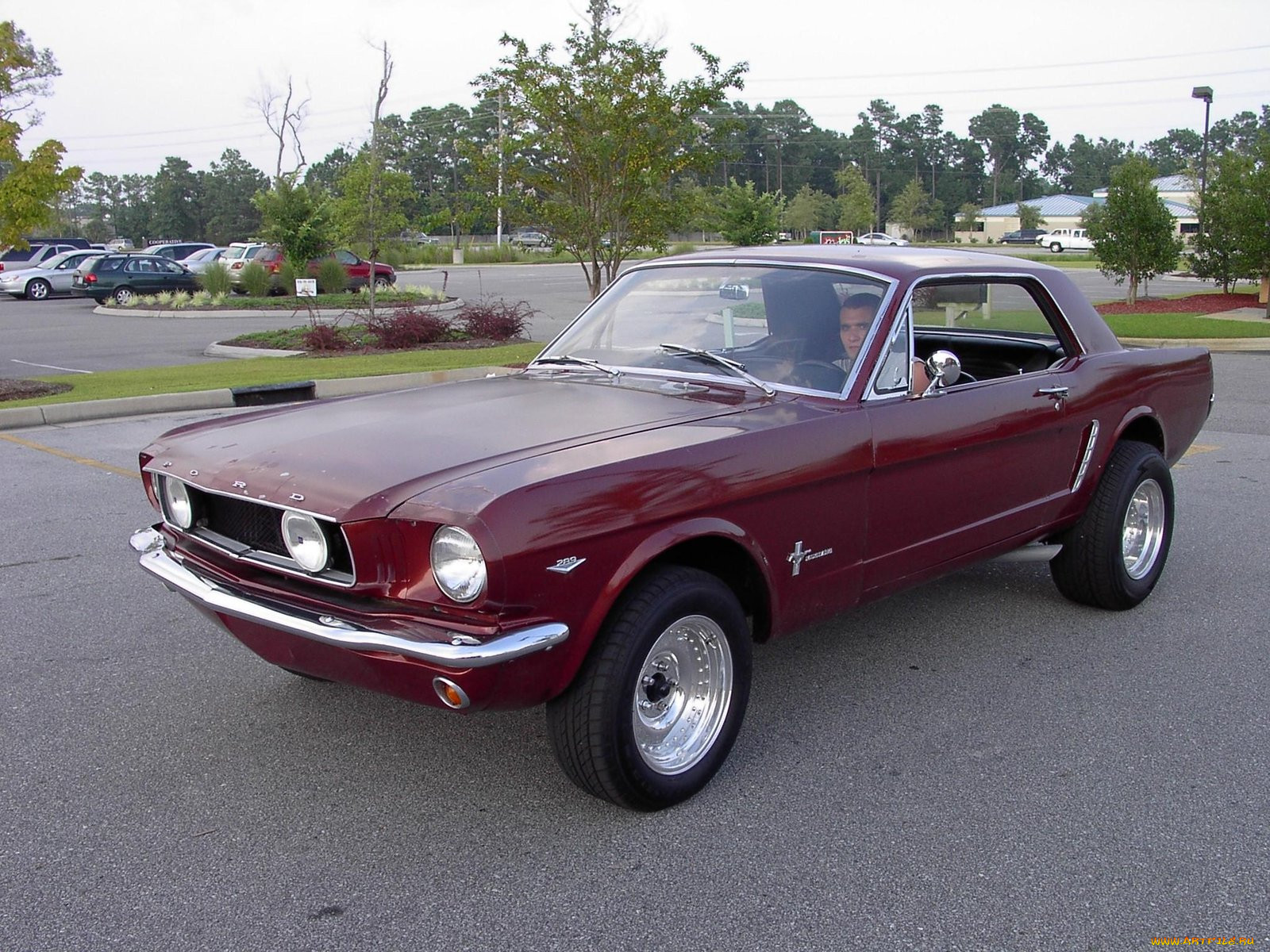 1965, ford, mustang, classic, 02, 